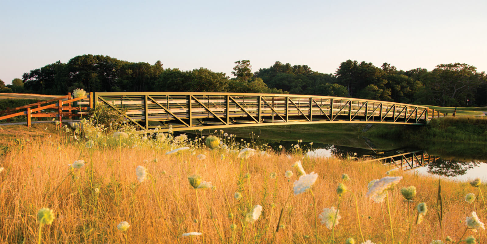 bridge with surrounding fescue