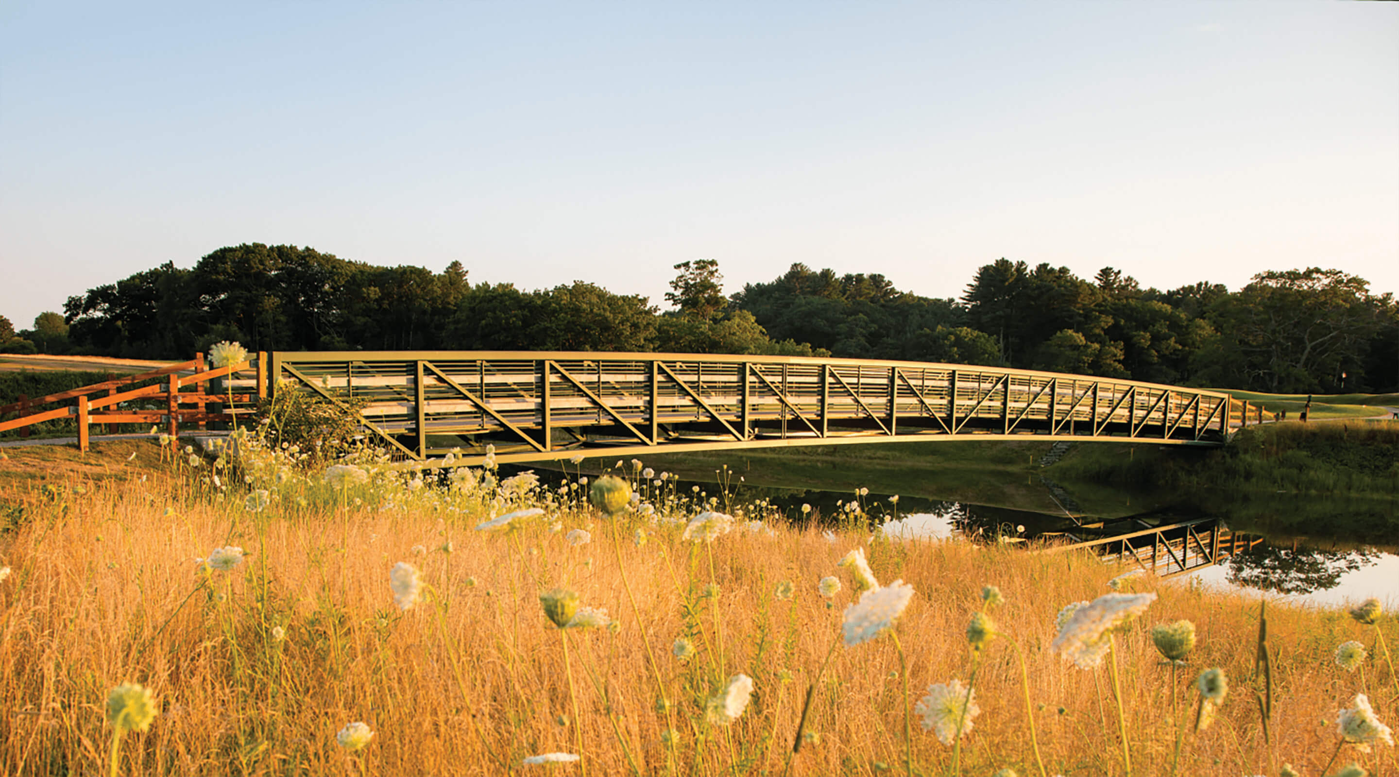 bridge and fescue